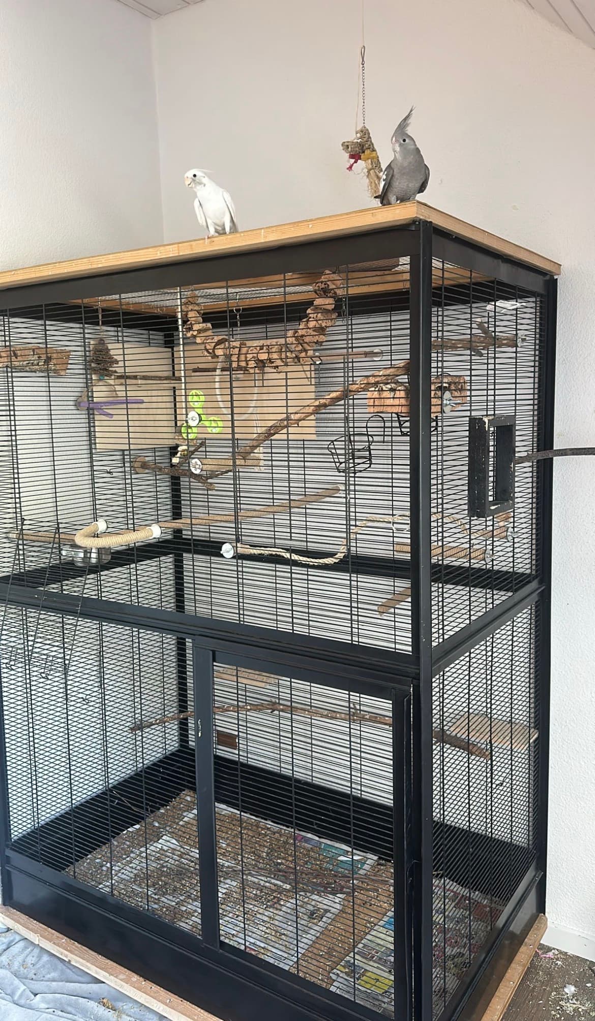 Vogelkäfig