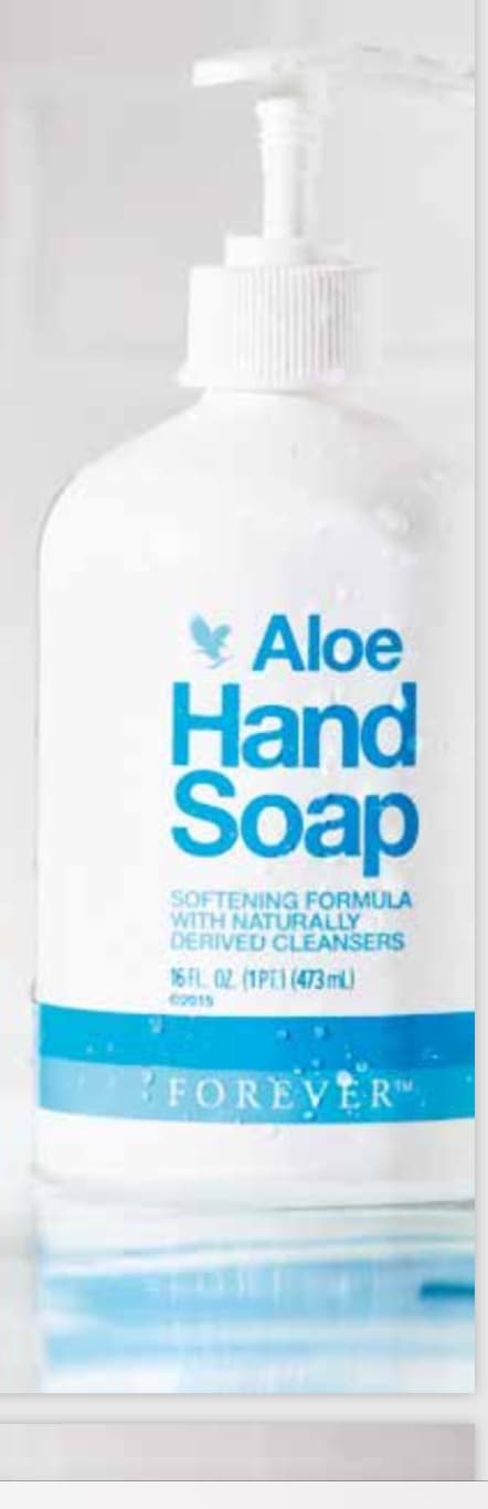 Aloe Hand Soap - Handseife