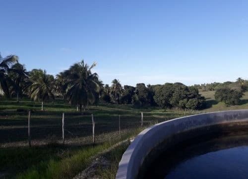 Brasilien Kokosnussölfabrik und Früchtefarm Region Salvador Bahia