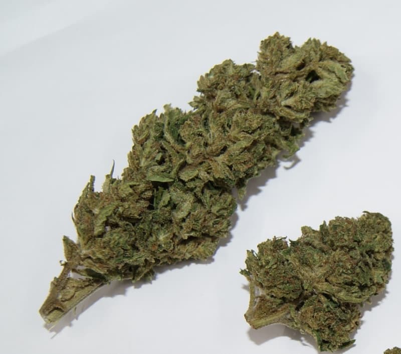 CBD Outdoor First Quality Blüten