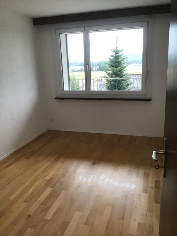 grösstenteils neu renovierte 2,5-Zimmerwohnung