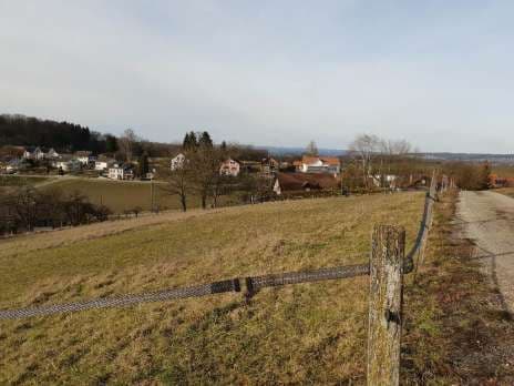 2-3 Boxen in kleinem Privatstall frei