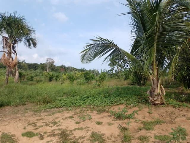 neu Brasilien 94.0251 Ha grosses Grundstück (Goldvorkommen