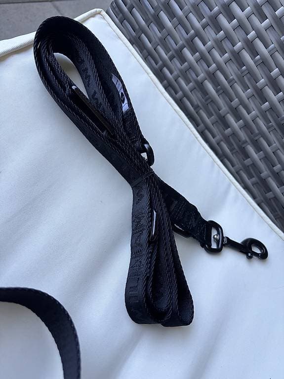 William Walker Halsband und Leine