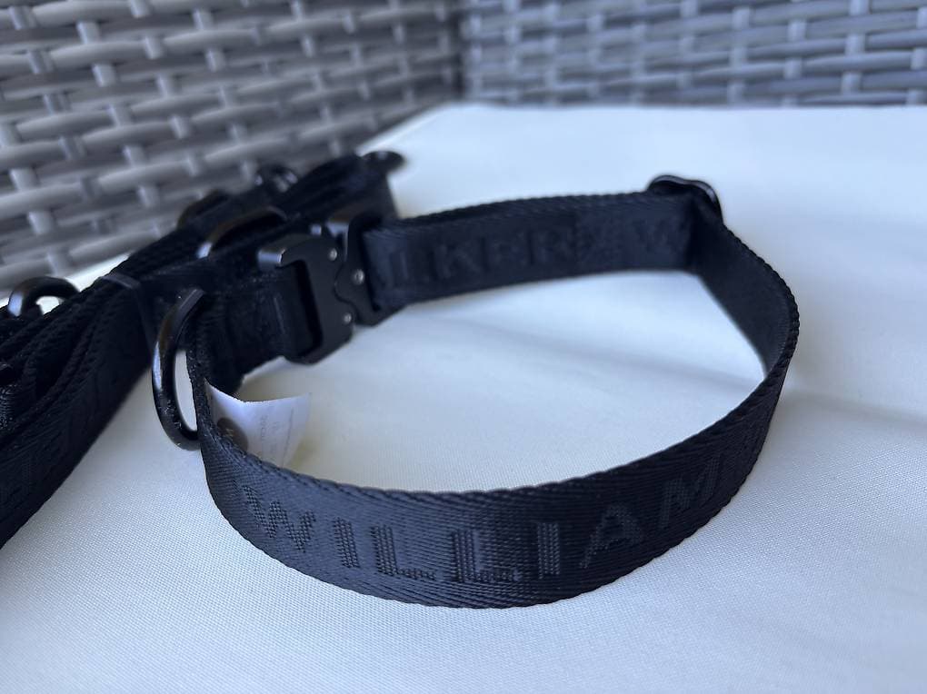 William Walker Halsband und Leine