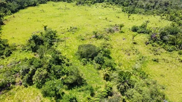 Brasilien 1'000 Ha Tiefpreis - Grundstück mit Rohstoffen in der N
