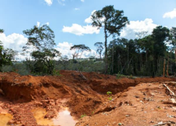 Brasilien 1'000 Ha Tiefpreis - Grundstück mit Rohstoffen in der N