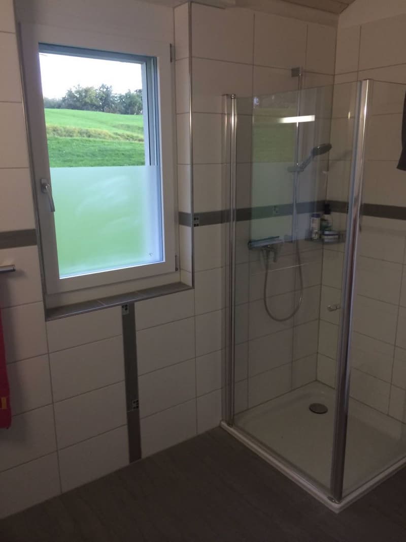 3.5- Zimmerwohnung zu vermieten