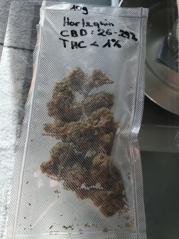 CBD Blüten Harlequin Indoor 10gr 50 Fr.