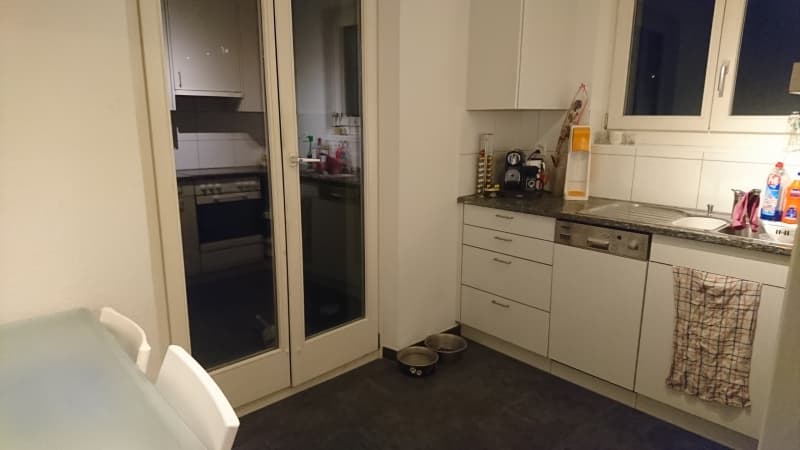 Nachmieter für ruhige 4.5 Pareterrewohnung an zentraler Lage