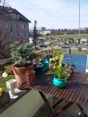 Renovierte 2.5 Zi Wohnung zentral mit Gartenmitbenutzung