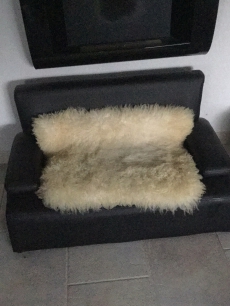 Hundesofa 