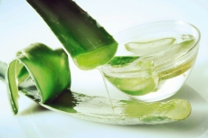 Aloe Vera Gelly - Creme/Jelly