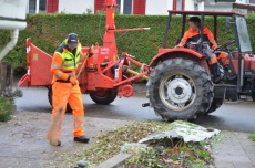 Häckseldienst