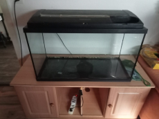 Aquarium (Undicht) ideal als Spinnen-Terrarium verwendbar. 70 CHF