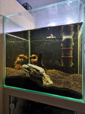 Aquarium 60 Liter