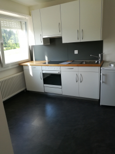 1.5 Zimmer-Wohnung