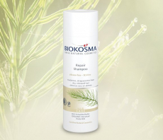 BIOKOSMA Repair Shampoo Schachtelhalm BIO