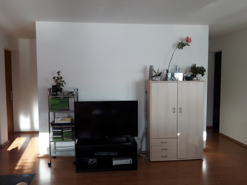 Nachmiter für 3.5 Zimmer Wohnung gesucht