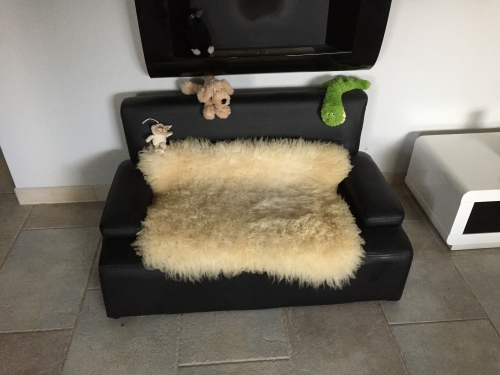 Hundesofa 