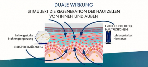 2. Standbein bis zur Selbstständigkeit 