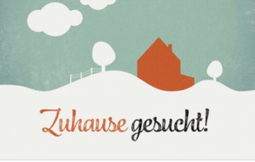 Dringend zu Hause gesucht