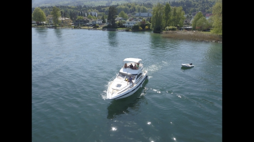 Sealine F36 Statesman