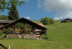 Wir suchen: Stöckli/Haus/Bauernhaus/Chalet zur Dauermiete