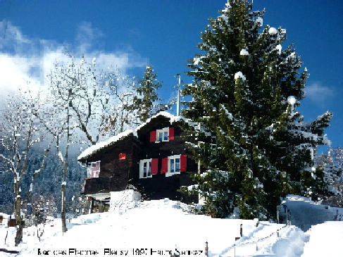 Haute-Nendaz VS, Chalet noch frei