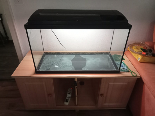 Aquarium (Undicht) ideal als Spinnen-Terrarium verwendbar. 70 CHF