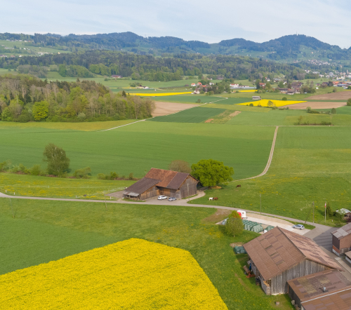 2 Pferde-Auslaufboxen für Selbstversorger im ZH Oberland