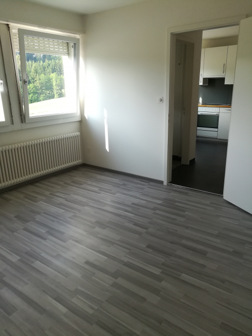 1.5 Zimmer-Wohnung