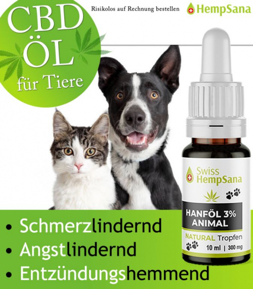 Anwendung von CBD Öl bei unseren Haustieren